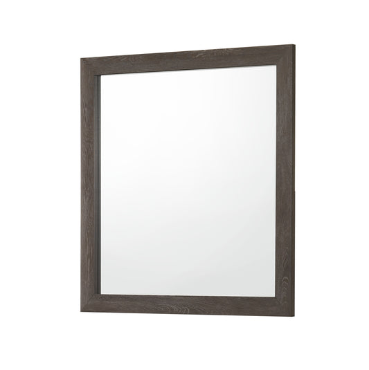 B9310 Hopkins Mirror Only