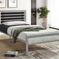 BM20 Metal Platform Bed - Twin **NEW ARRIVAL**
