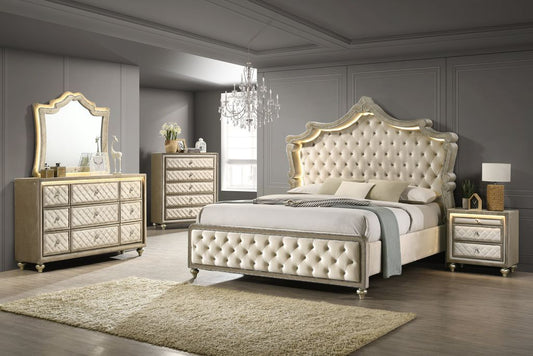 Kingdom 4PC OR 5PC Set - Queen, King