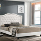 Paradise2 White - Full, Queen, King  *PLATFORM BED*