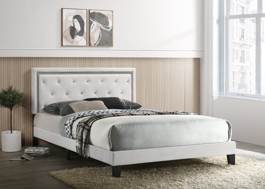 Passion Platform Bed - Upholstered in Velvet With Silver Nailheads Embedded Headboard